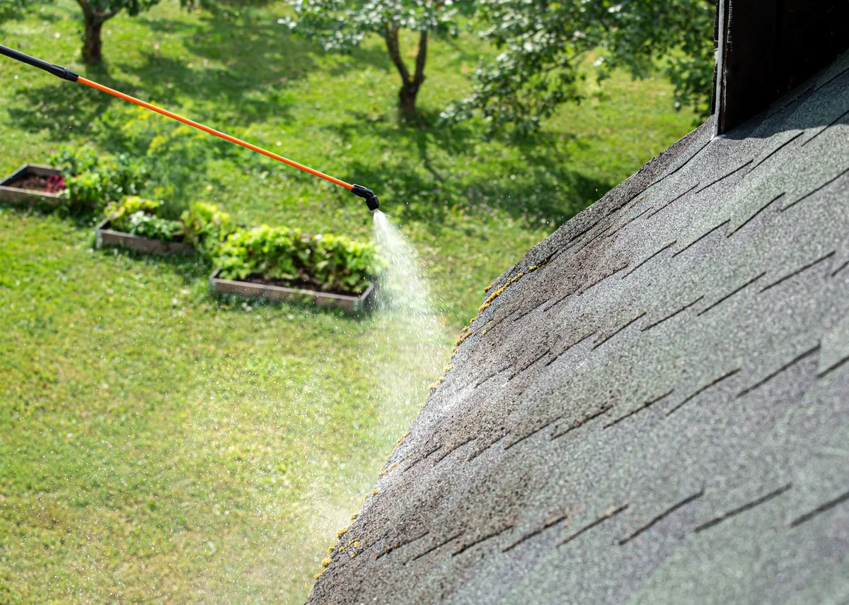 Wand spraying water onto an algae-stained asphalt shingle roof, viewed from above the roof eave