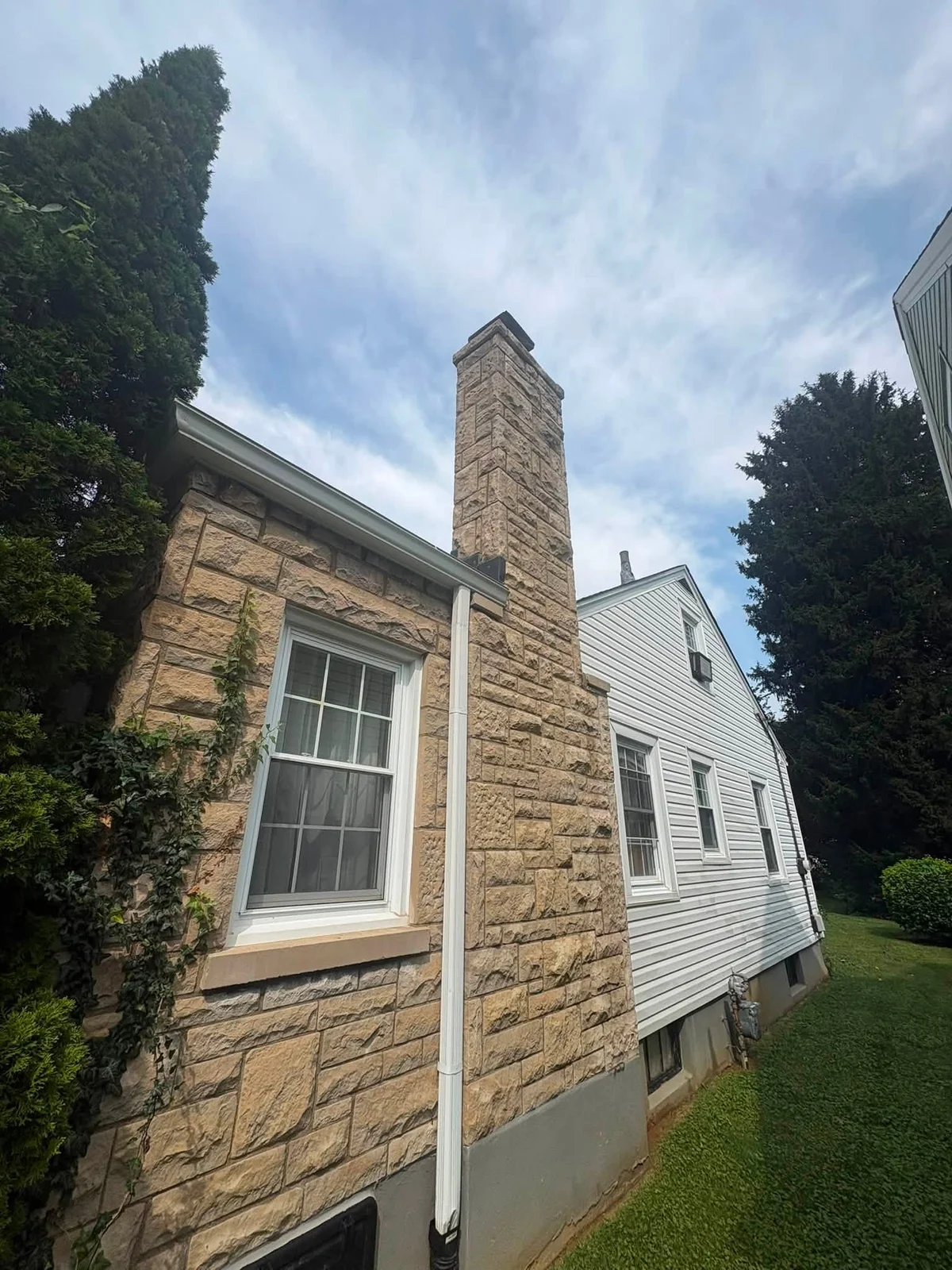 After: tan stone chimney and wall on a white vinyl house, with a window, white downspout and ivy on the left