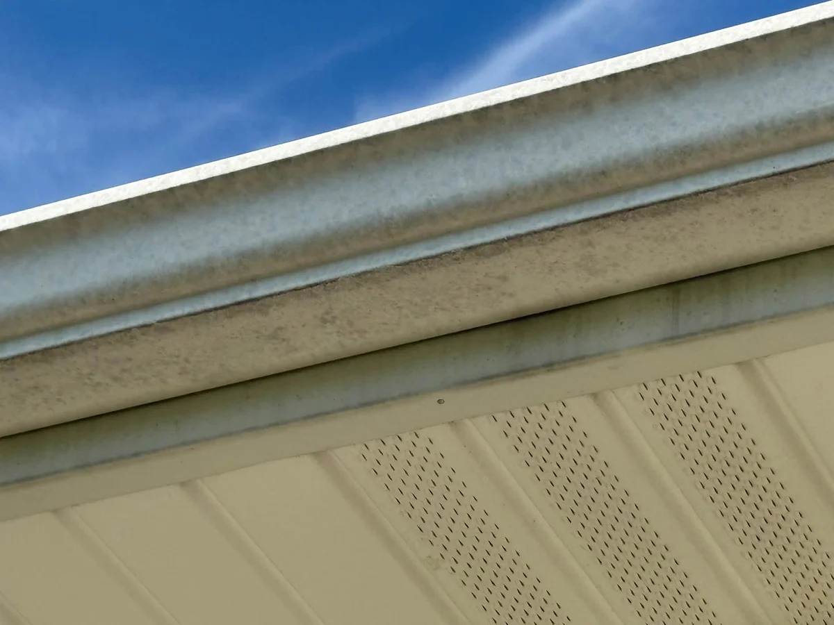 Before: close view of a gutter, fascia and vented soffit with gray and dark grime, under a blue sky