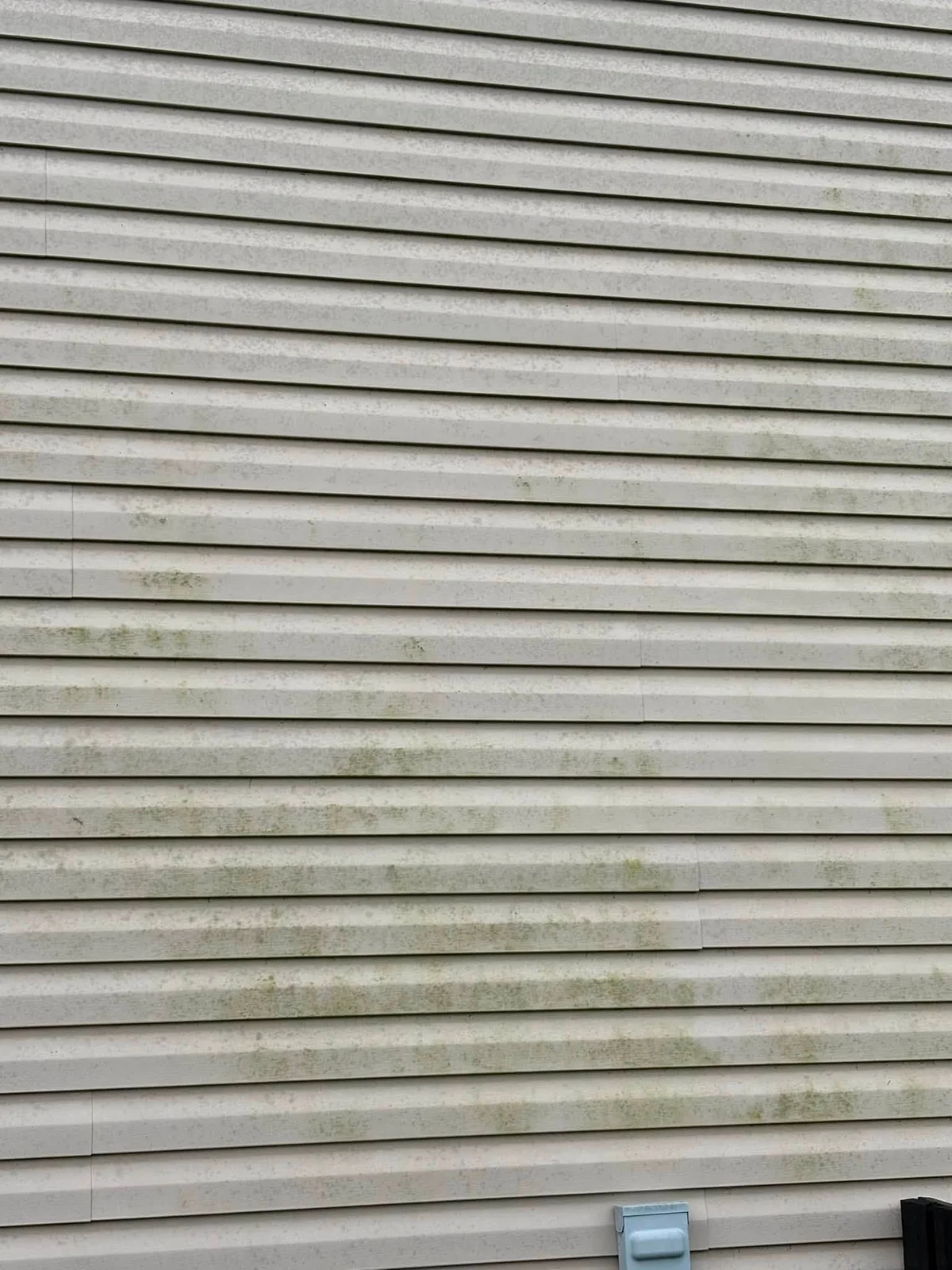 Before: tan vinyl siding covered in green and gray specks and streaks, with an electrical box at the bottom